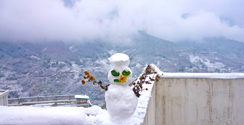 小雪養生吃什么？新東方烹飪學校推薦這5種食物